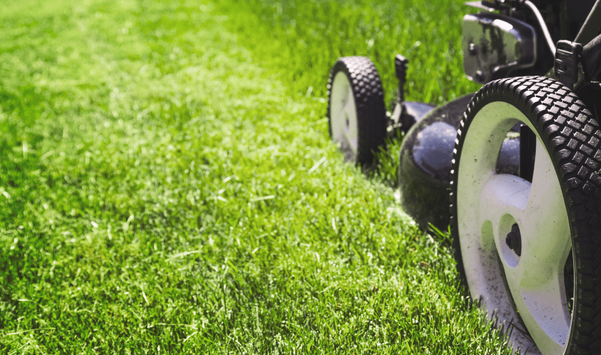 LAWN MOWING